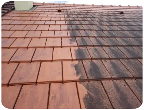 Démoussage de toiture Angoulême